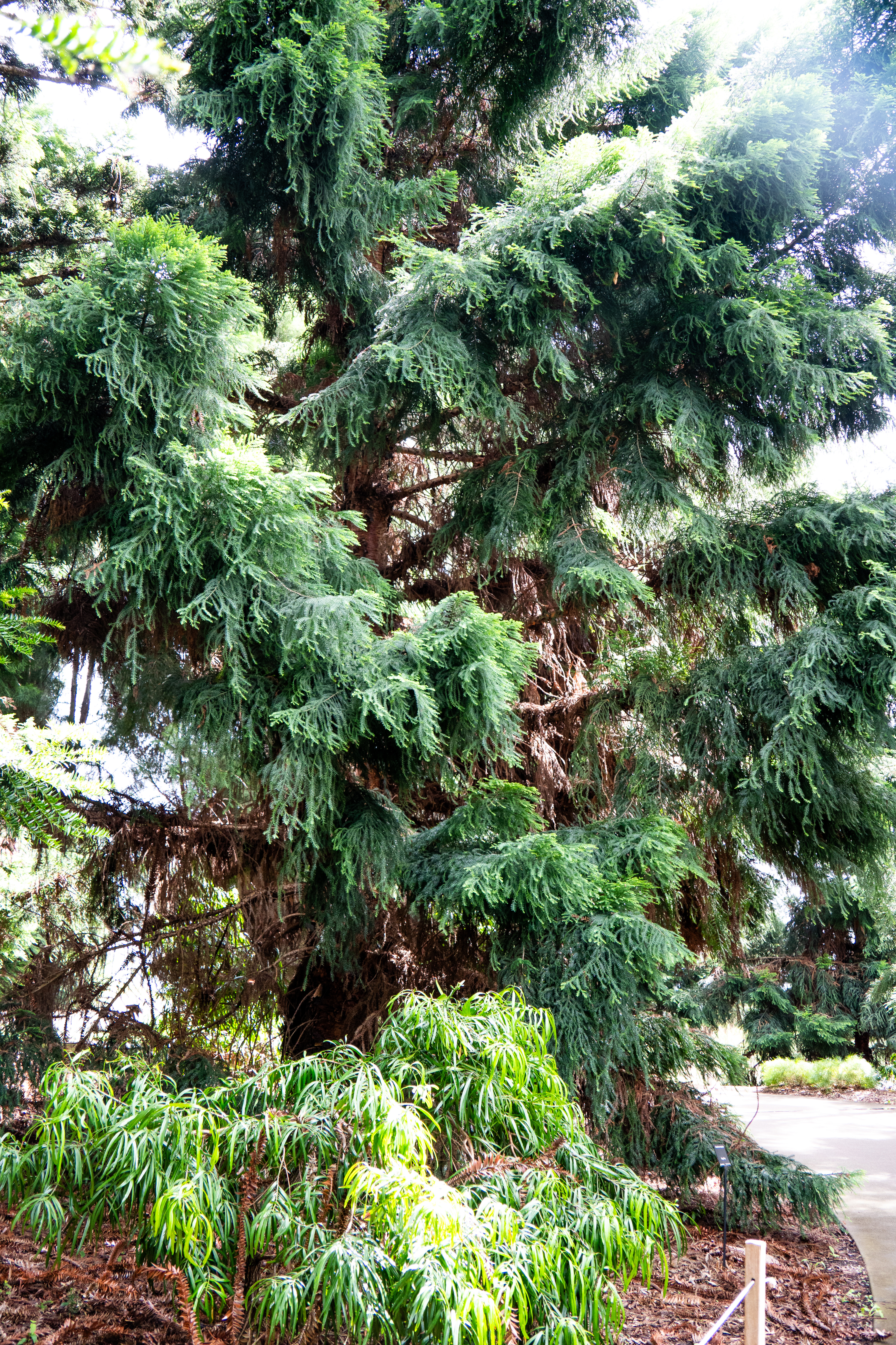 Australia — photograph 73