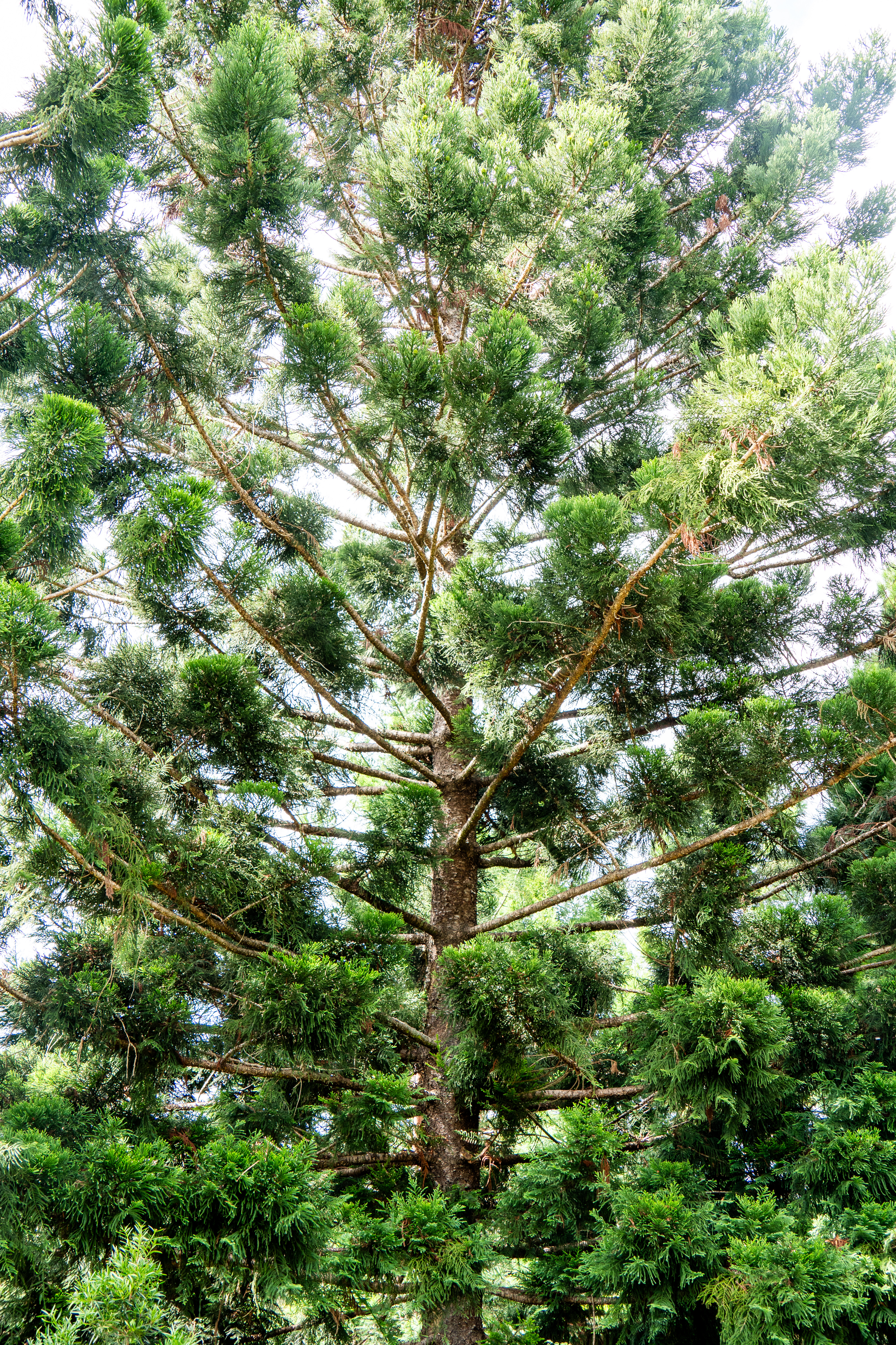 Australia — photograph 74