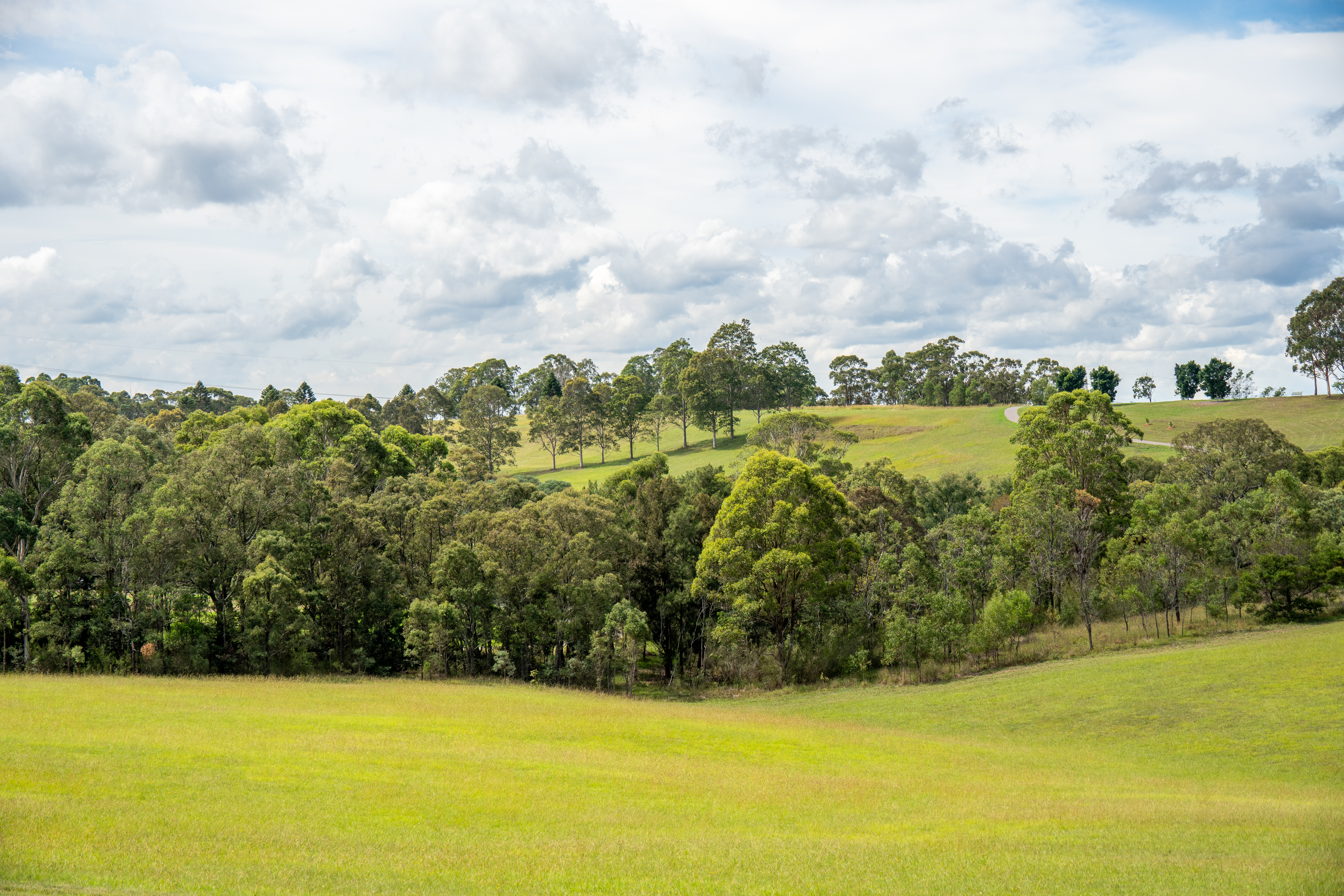 Australia — photograph 77